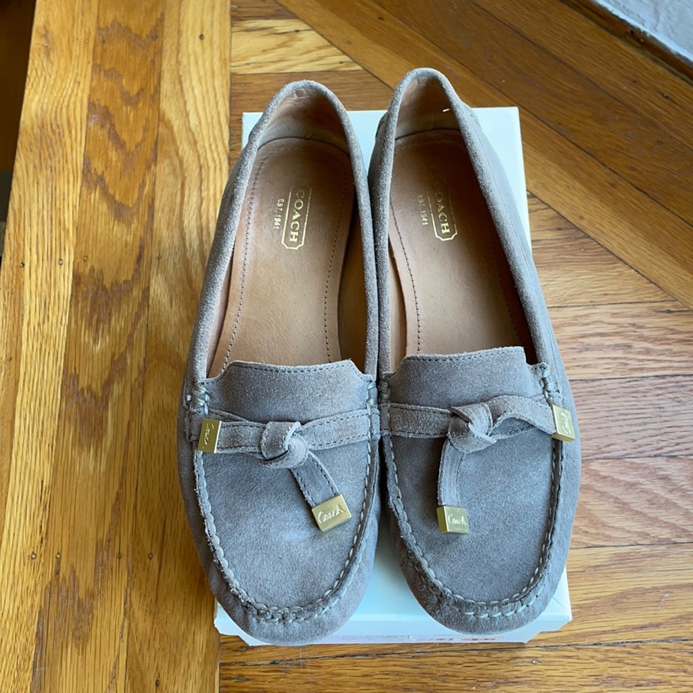 Coach Frida Suede Loafer / Flat